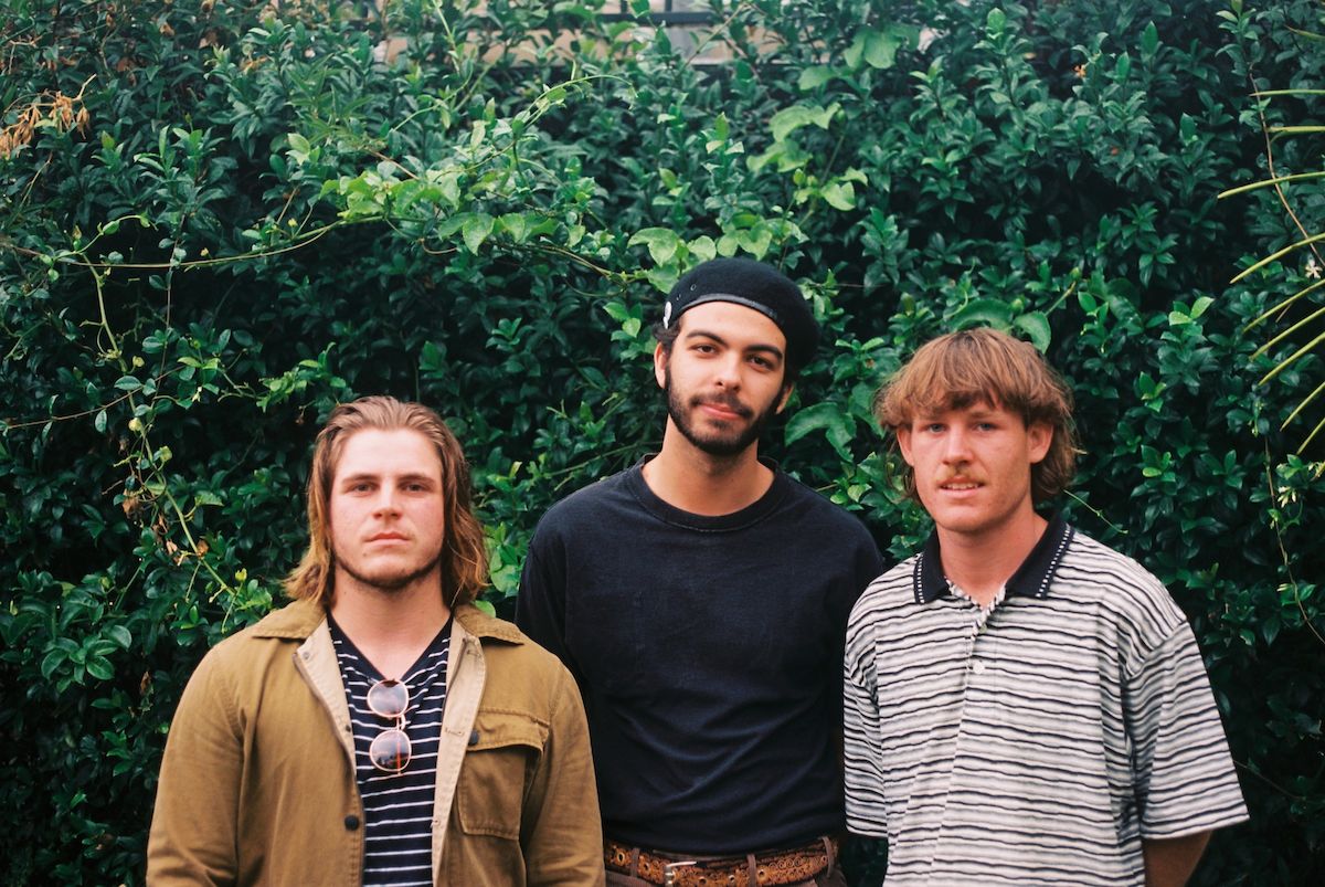 Crocodylus unleash new single 'My Love'