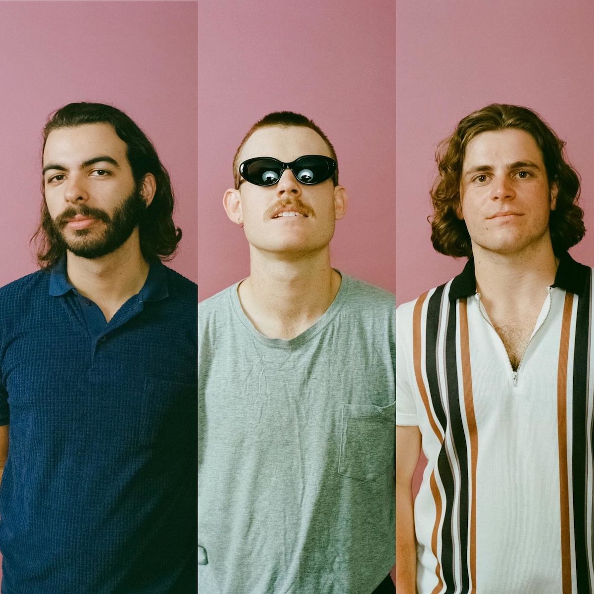 Crocodylus 'Social Climber'